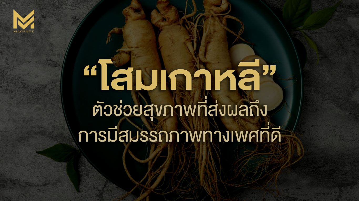 “โสมเกาหลี” ตัวช่วยสุขภาพที่ส่งผลถึงการมีสมรรถภาพทางเพศที่ดี